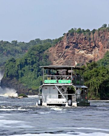 Boat Cruises